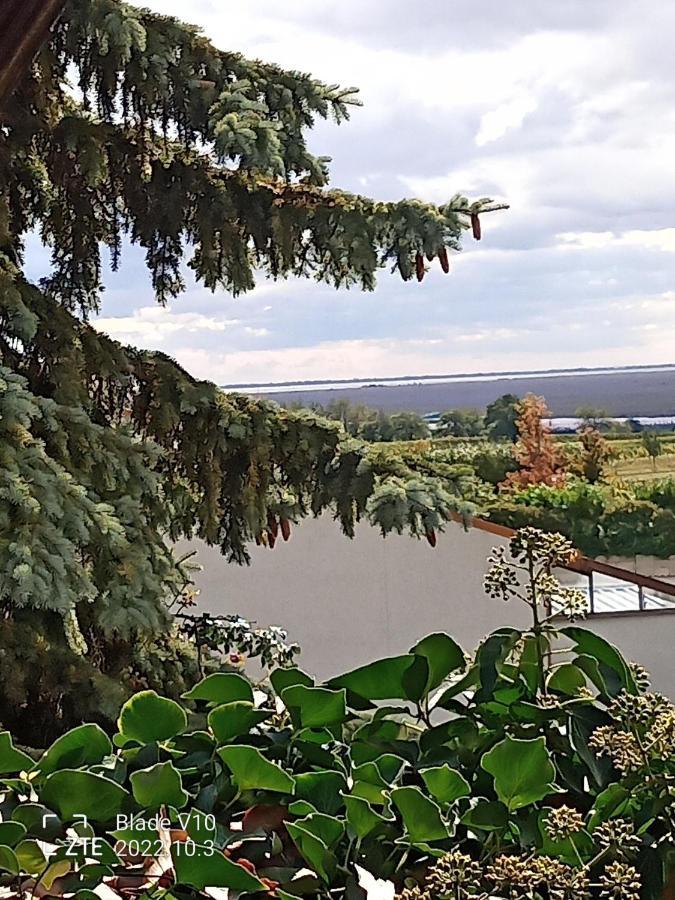 Ferienwohnung Zur Kirschblute Purbach am Neusiedlersee Extérieur photo