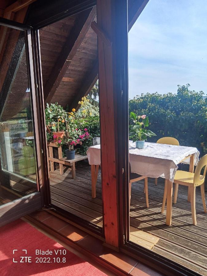 Ferienwohnung Zur Kirschblute Purbach am Neusiedlersee Extérieur photo