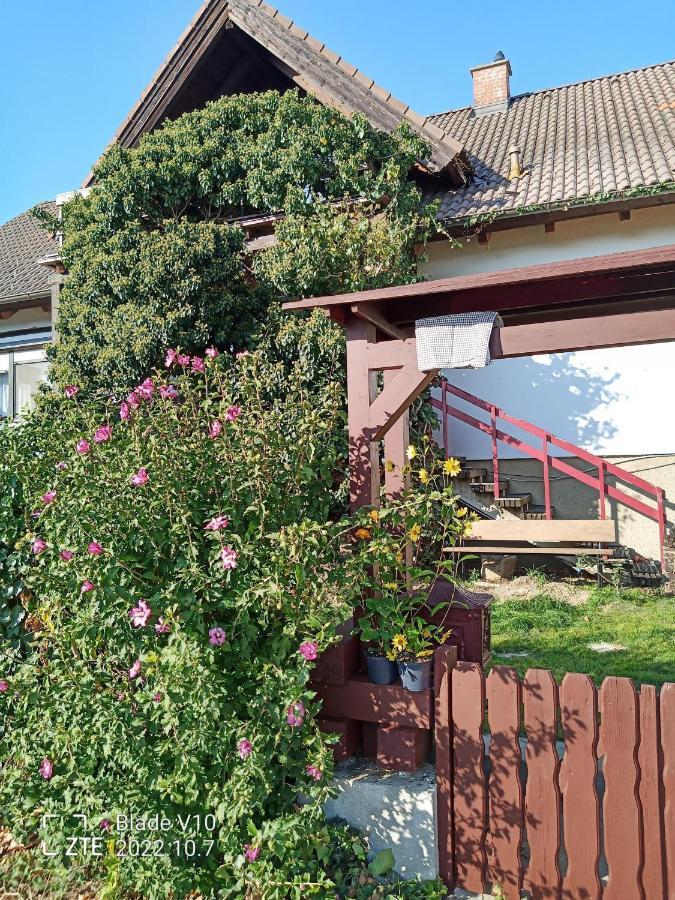 Ferienwohnung Zur Kirschblute Purbach am Neusiedlersee Extérieur photo