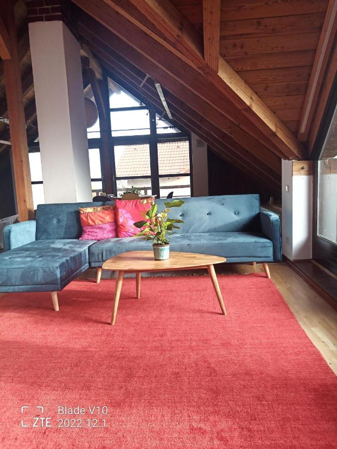 Ferienwohnung Zur Kirschblute Purbach am Neusiedlersee Extérieur photo