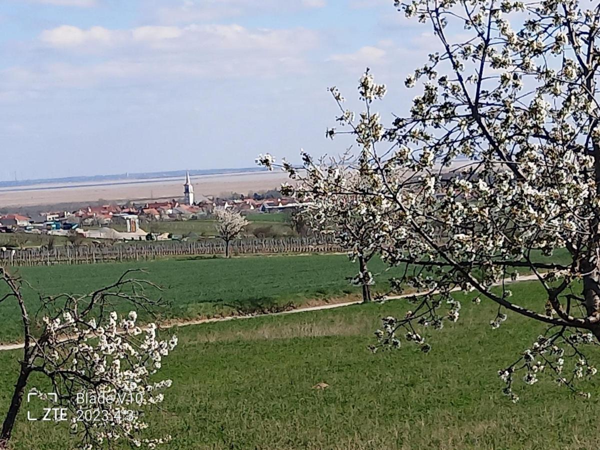 Ferienwohnung Zur Kirschblute Purbach am Neusiedlersee Extérieur photo